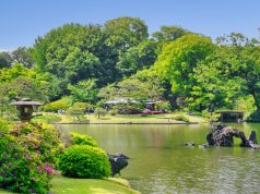 Green Escapes in Tokyo: Parks and Hidden Gardens