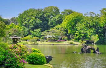 Green Escapes in Tokyo: Parks and Hidden Gardens