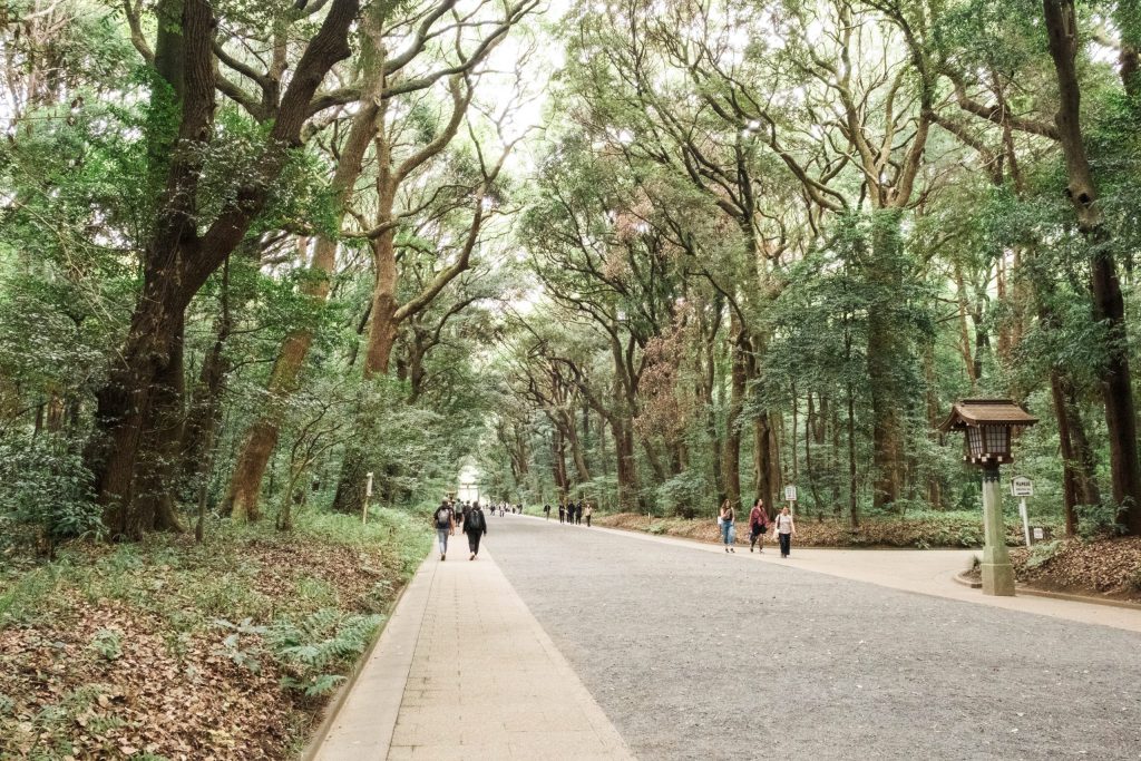 green escapes in Tokyo - Meiji Jingu Forest