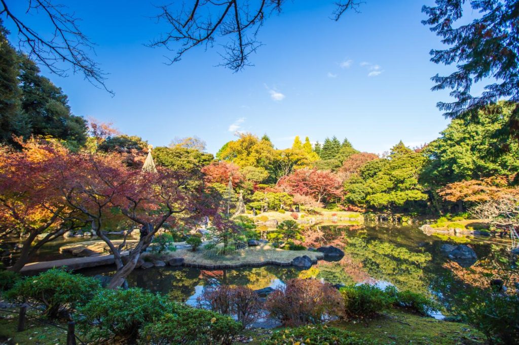 green escapes in Tokyo- Rikugien Garden