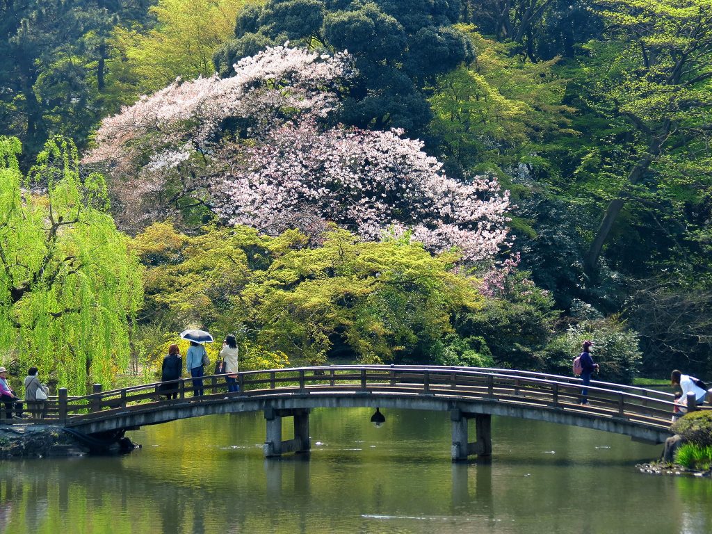green escapes in Tokyo - Shinjuku Gyoen