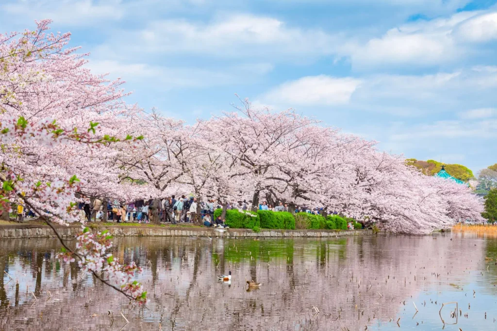 Ueno Park